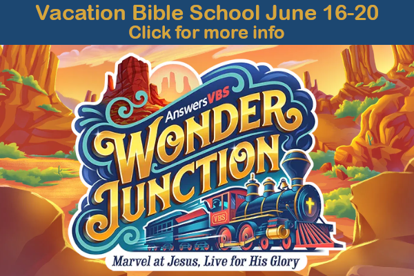 click for more info about VBS