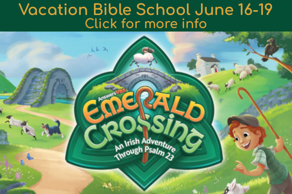 click for more info about VBS